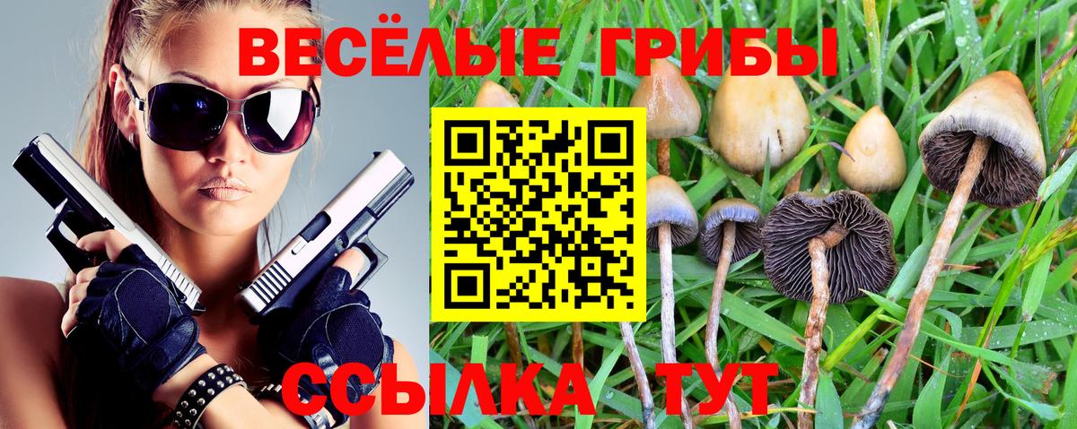 Галлюциногенные грибы мицелий Миллерово